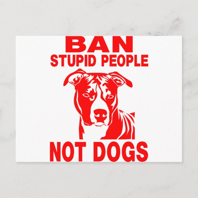 CARTÃO POSTAL PITBULL (Frente)