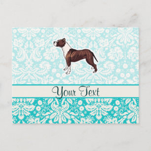 Cartão Postal Pitbull; Cuta