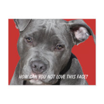 Pitbull Preto Editável