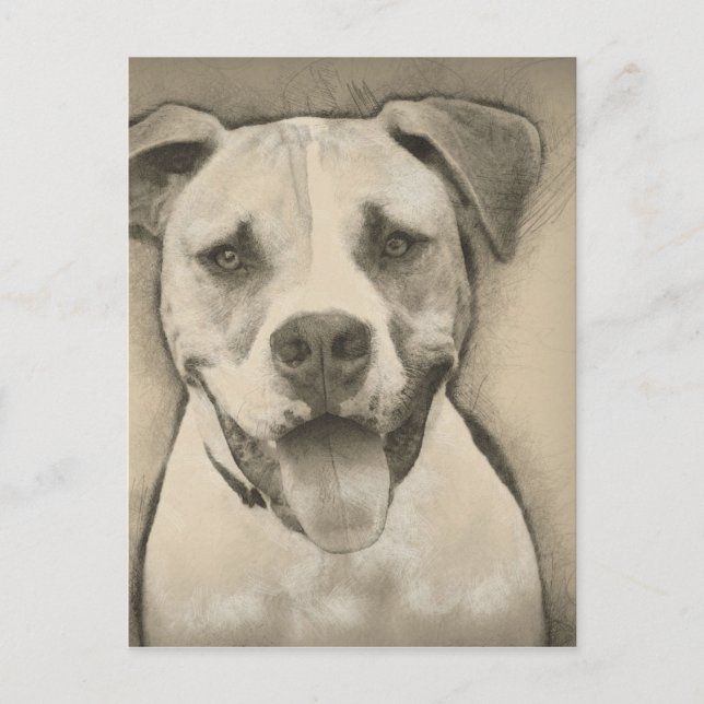 Cartão Postal Pitbull - Retrato de Sketch para o Bulldog America (Frente)