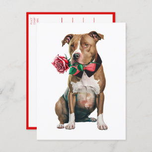Cartão Postal Pitbult Pittie Puppy Dog Menina Você Adora Pit Bul