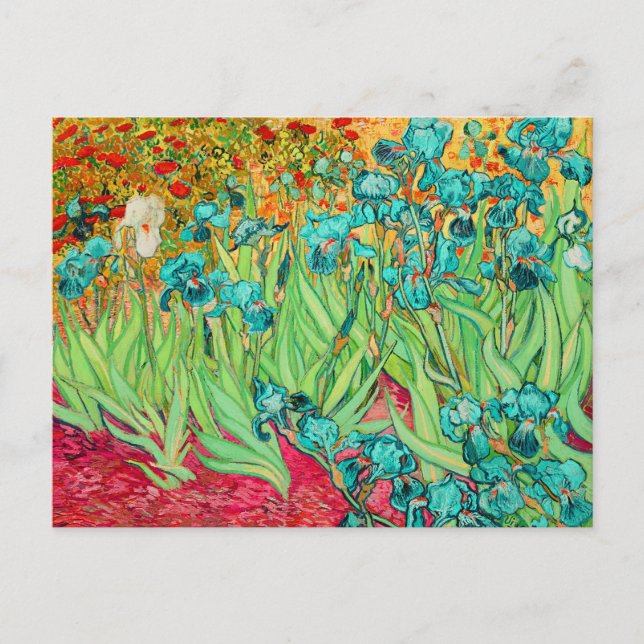 Cartão Postal PixDezines van gogh iris/st. remy (Frente)