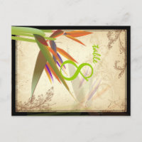 PixDezines vintage bird of parise/diy font/color