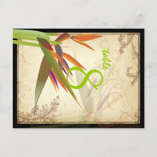Cartão Postal PixDezines vintage bird of parise/diy font/color