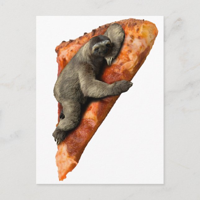Cartão Postal Pizza Sloth (Frente)