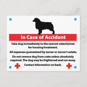 Cartão Postal Placa de Caixa de Cachorro em Caso de Emergência: