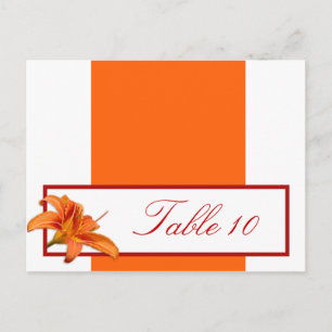 Cartão Postal Placa de Local Escrita Tiger Laranja Lilly w/Strip