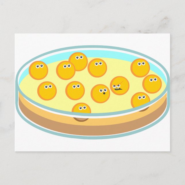 Cartão Postal Placa de Petri MRSA (Frente)