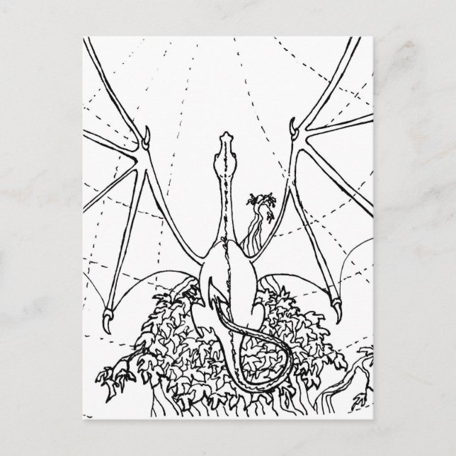 Cartão Postal Placa de posto - Asas Dragões (Frente)