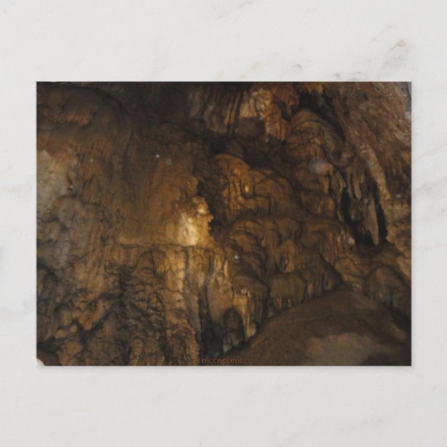 Cartão Postal Placa de posto Cave 051612 para Timpanogos (Frente)