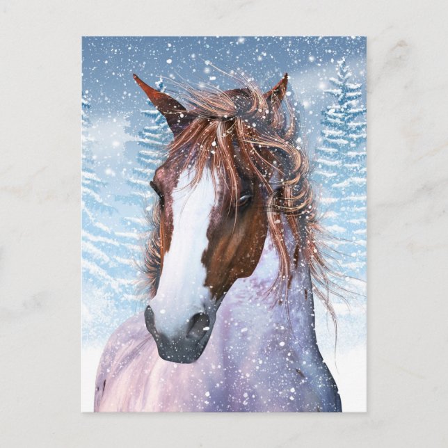 Cartão Postal Placa De posto Com Cavalo De Inverno Na Neve (Frente)