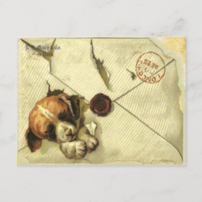 Cartão Postal Placa De posto Com Puppy Do Livro De Sucatas Vinta (Frente)