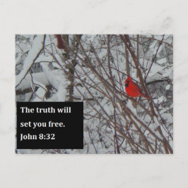 Cartão Postal Placa de Posto de Escrituras John 8:32