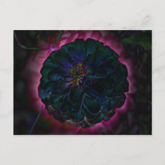 Cartão Postal Placa de Posto de Flor da Lua (Frente)