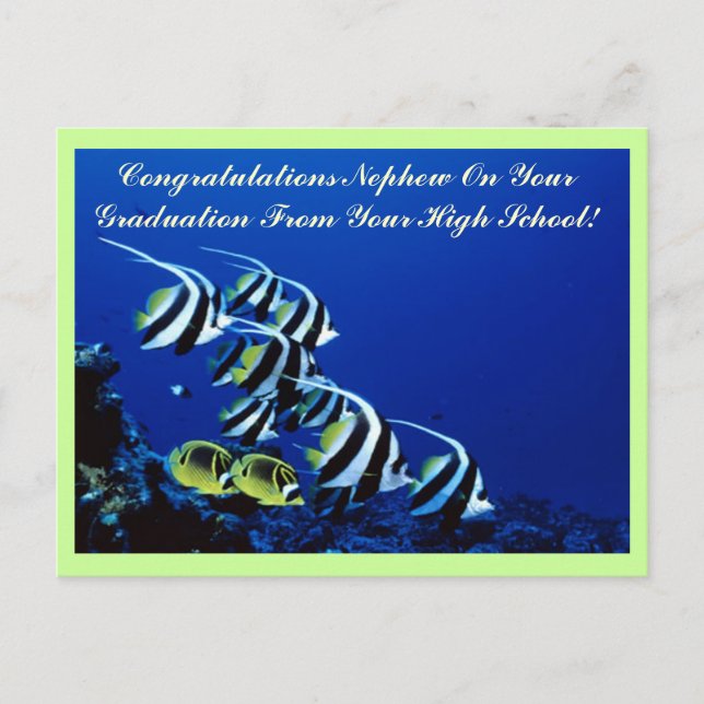 Cartão Postal Placa de Posto de Formando do sobrinho de parabéns (Frente)