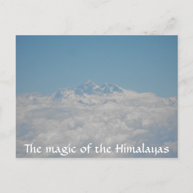 Cartão Postal Placa de Posto de Pequenas Sementes 4 (Frente)