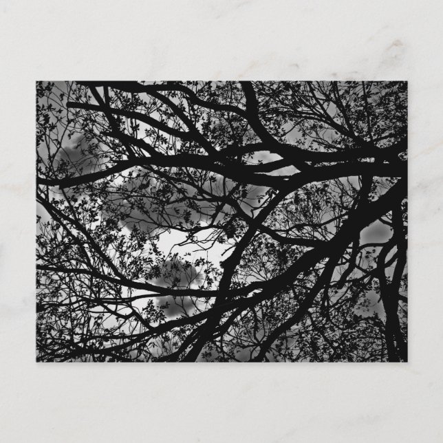 Cartão Postal Placa de posto de Ramificações (Frente)