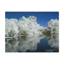 Placa de Posto de teste