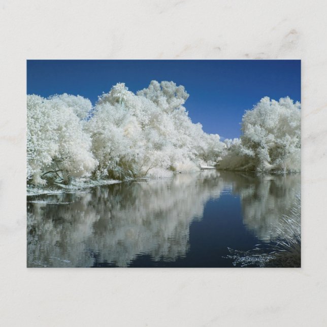 Cartão Postal Placa de Posto de teste (Frente)