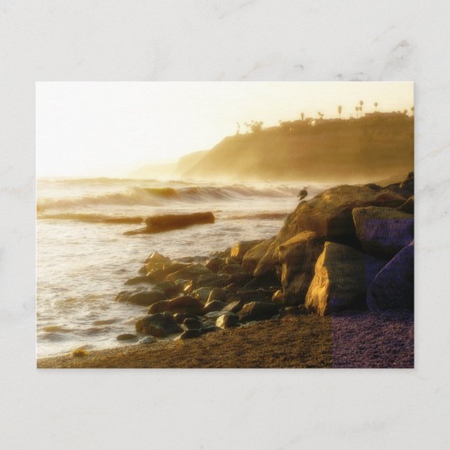 Cartão Postal Placa de Posto de teste (Frente)