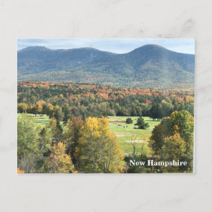 Cartão Postal Placa de Posto "Folhagem e Montanhas"