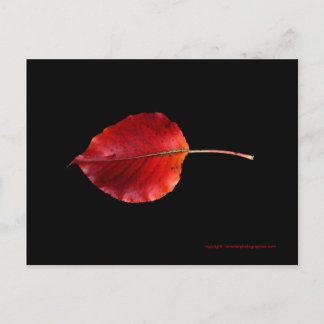 Cartão Postal Placa de Posto MP 0215B Leaf 2 WC