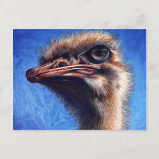 Cartão Postal Placa de Posto Ostrich