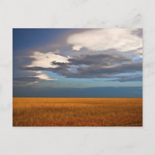 Cartão Postal Placa de Posto para pintura de óleo fina com campo