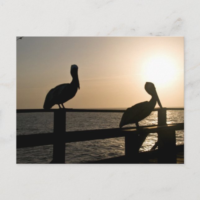 Cartão Postal Placa de Posto Pelican (Frente)