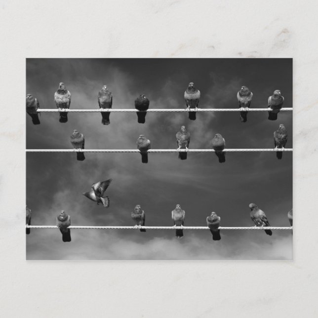 Cartão Postal Placa de Posto Pigeon Foosball (Frente)