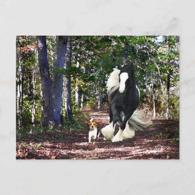 Cartão Postal Placa de Posto "Pine Barrens Run" (Frente)