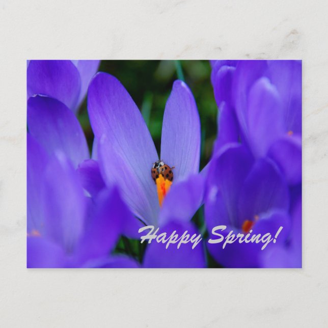 Cartão Postal Placa de Primavera Feliz (Frente)