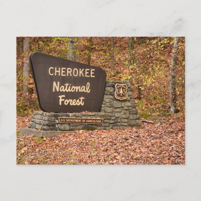 Cartão Postal Placa do Cherokee National Forest no outono no Ten (Frente)