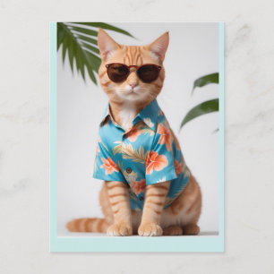 CARTÃO POSTAL PLACA GATO COM PÓS-ÓCULOS
