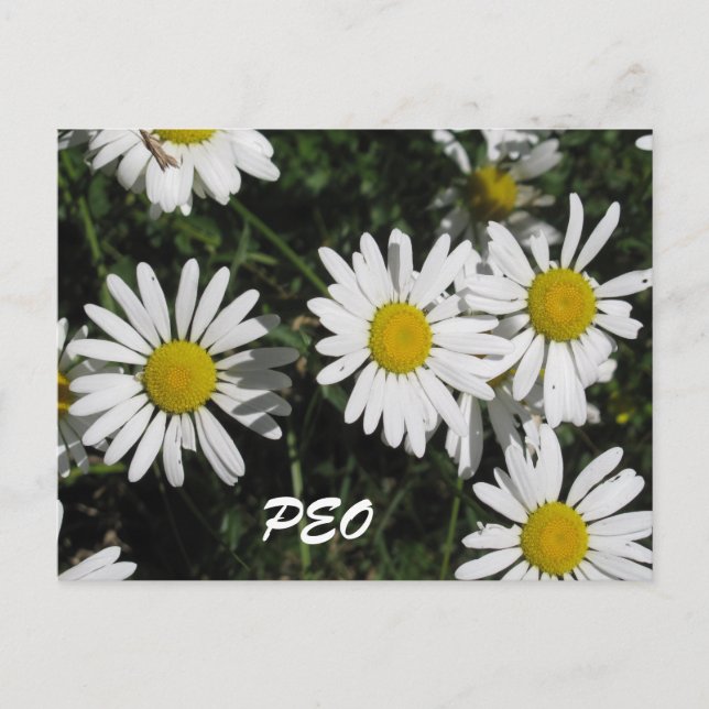 Cartão Postal Placa PEO (Frente)