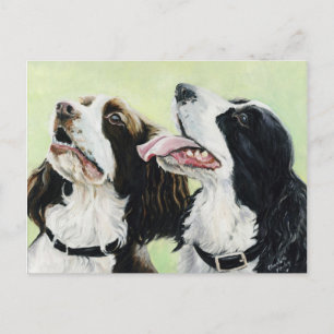 Cartão Postal Placa Posta de Arte Original para Springer Begers