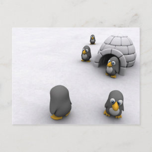 Cartão Postal Placa Postada de pinguim