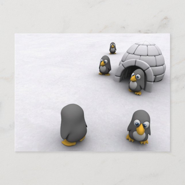 Cartão Postal Placa Postada de pinguim (Frente)