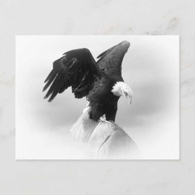 Cartão Postal Placa Postada Eagle (Frente)