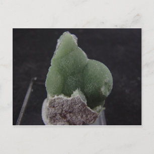 Cartão Postal Placa Postada por satélite verde