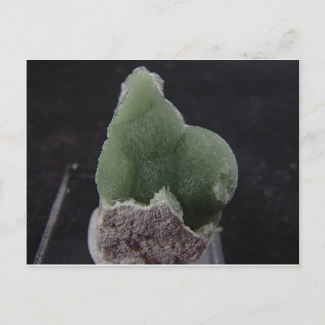 Cartão Postal Placa Postada por satélite verde (Frente)