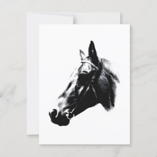 Cartão Postal Placa Trabalho de arte de Desenho de Cavalo