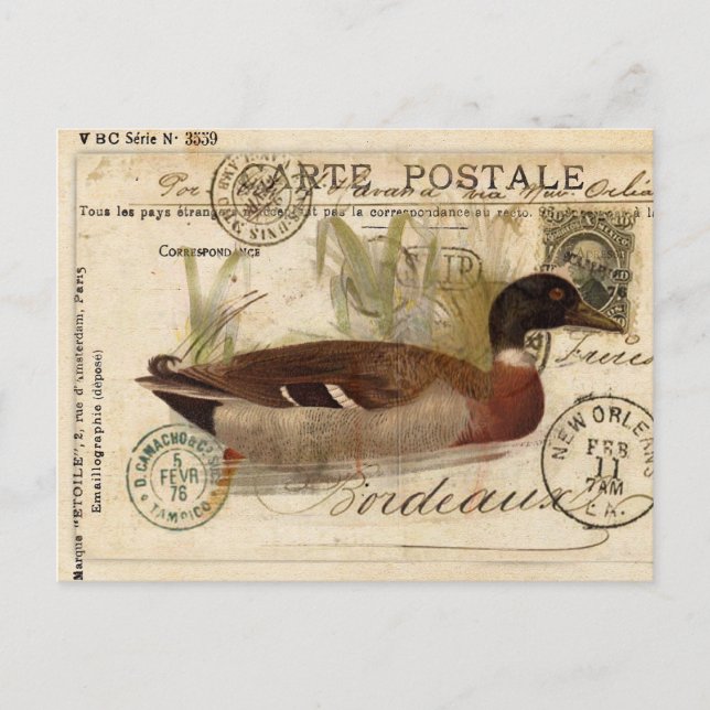 Cartão Postal Placa Vintage Duck (Frente)