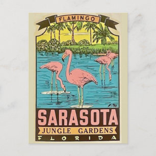 Cartão Postal Placa Vintage Sarasota Flamingo