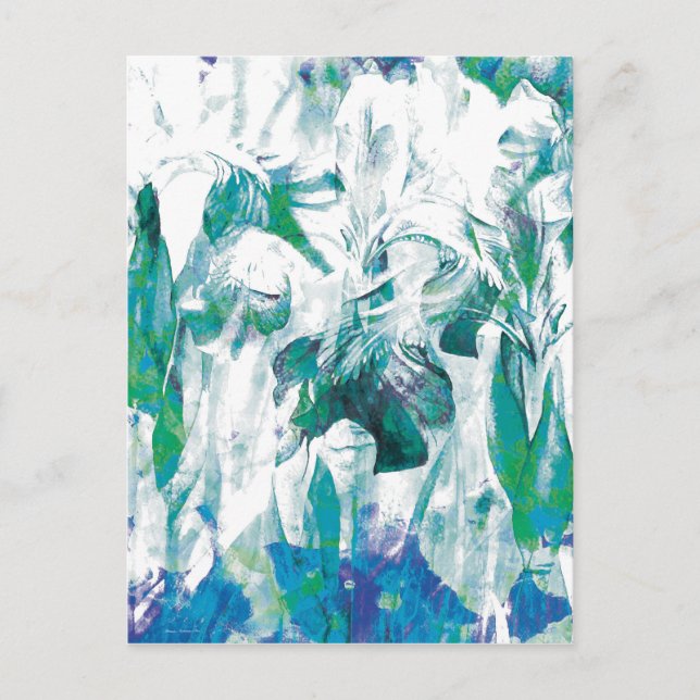 Cartão Postal Placas Floral Abstrato 12 (Frente)