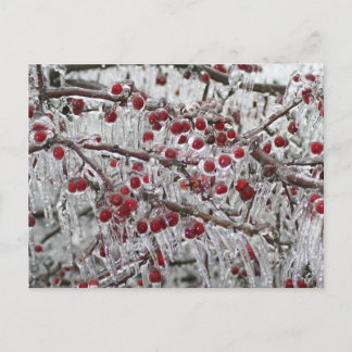 Cartão Postal Placas postadas