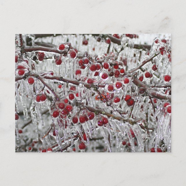 Cartão Postal Placas postadas (Frente)