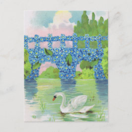 Cartão Postal Placas Swan Brancas Vintage