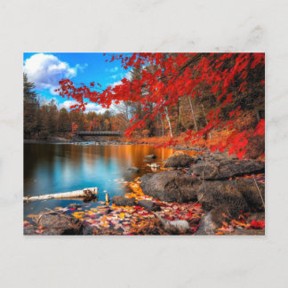 Cartão Postal planeta lindo 15