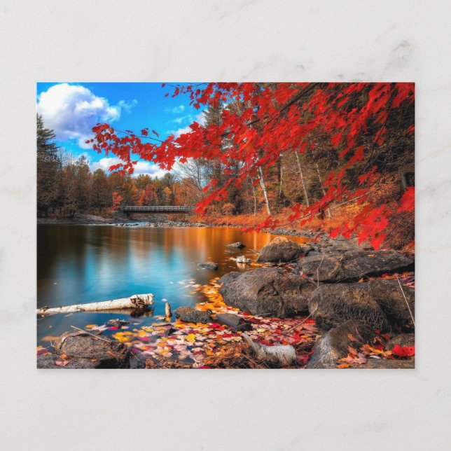 Cartão Postal planeta lindo 15 (Frente)